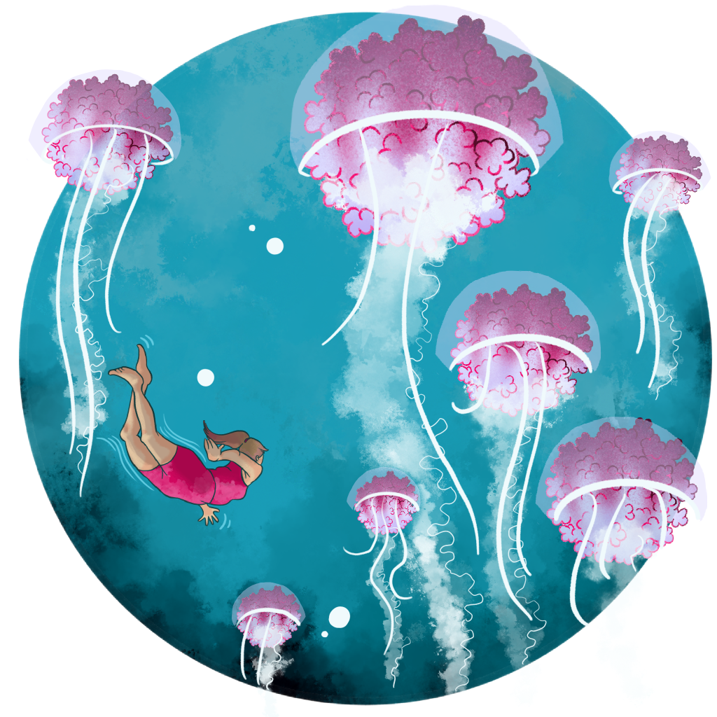 Cartoon image of jellyfish swimming.,
