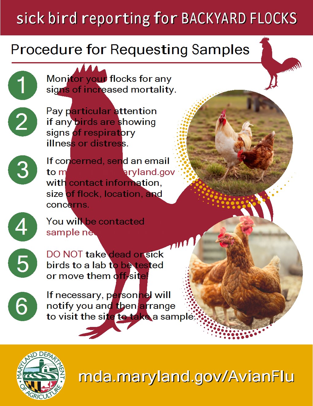 USDA Expands Defend The Flock Campaign With New Resources For All Poultry Growers Cecil County